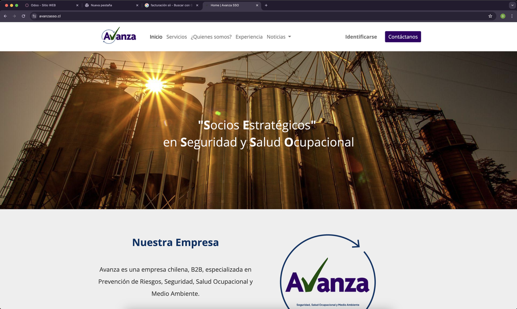 Sitio WEB estándar